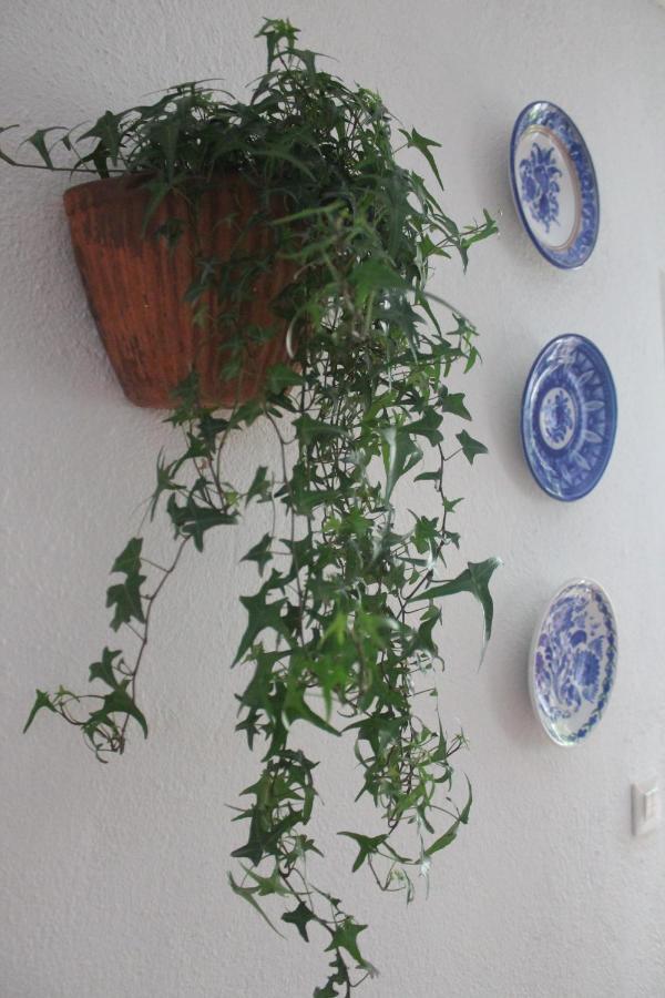 Hedera Apartment Candeleda Exterior photo